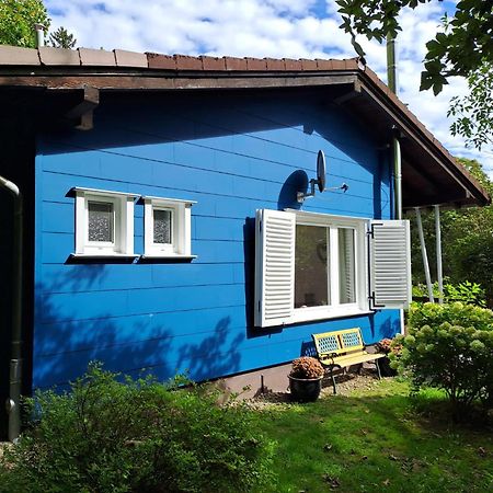 Platell Ferienhausverwaltung Sankt Andreasberg Zewnętrze zdjęcie